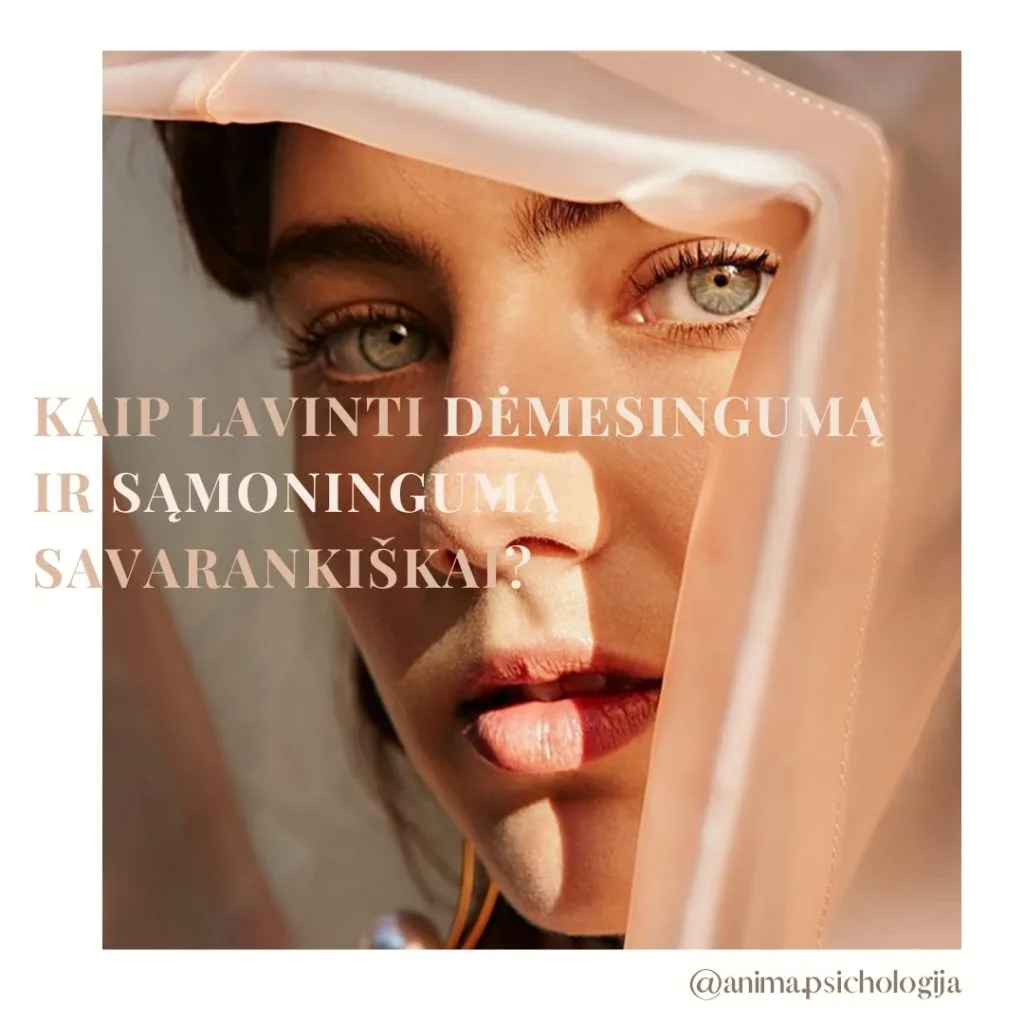 Dėmesingas įsisąmoninimas